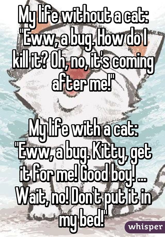 My life without a cat: "Eww, a bug. How do I kill it? Oh, no, it's coming after me!"

My life with a cat: "Eww, a bug. Kitty, get it for me! Good boy! ... Wait, no! Don't put it in my bed!"