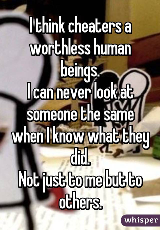 I think cheaters a worthless human beings.
I can never look at someone the same when I know what they did.
Not just to me but to others.