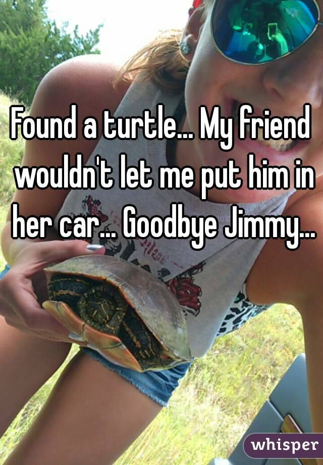 Found a turtle... My friend wouldn't let me put him in her car... Goodbye Jimmy...
