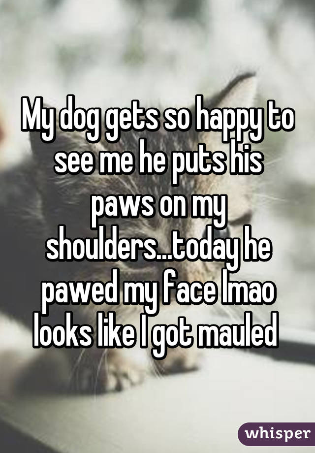 My dog gets so happy to see me he puts his paws on my shoulders...today he pawed my face lmao looks like I got mauled 