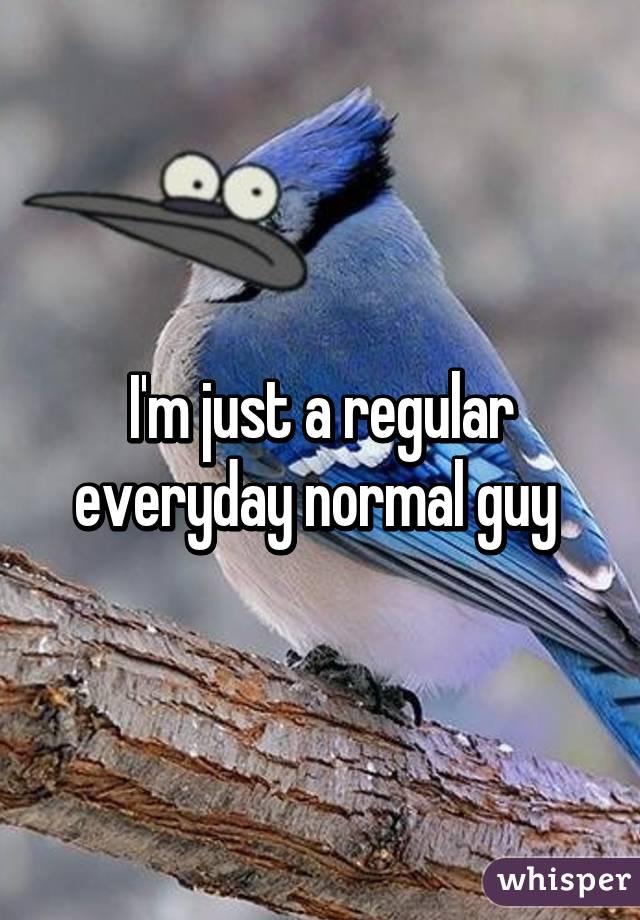 I'm just a regular everyday normal guy 