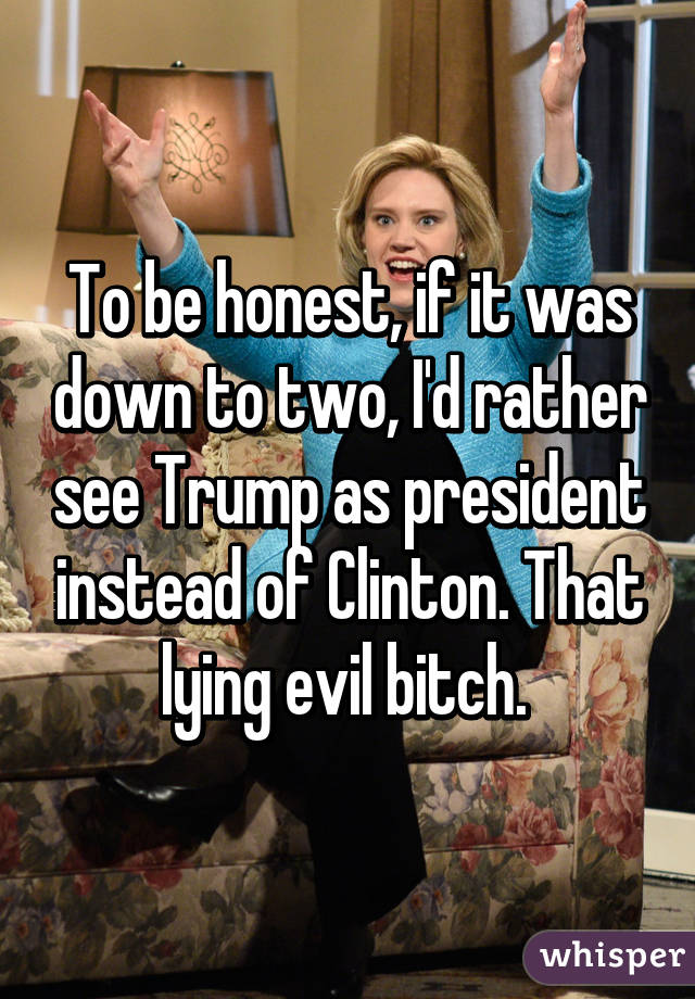 To be honest, if it was down to two, I'd rather see Trump as president instead of Clinton. That lying evil bitch. 