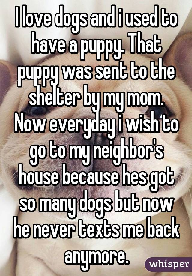 I love dogs and i used to have a puppy. That puppy was sent to the shelter by my mom. Now everyday i wish to go to my neighbor's house because hes got so many dogs but now he never texts me back anymore.