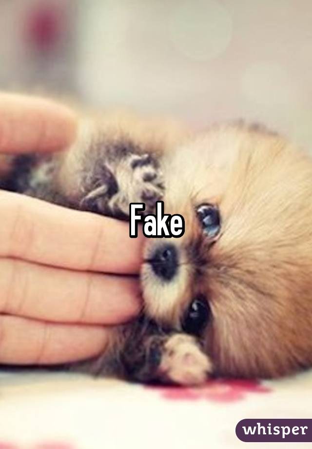 Fake