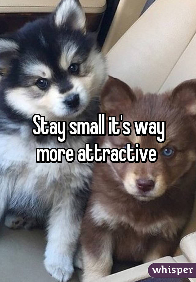 Stay small it's way more attractive 