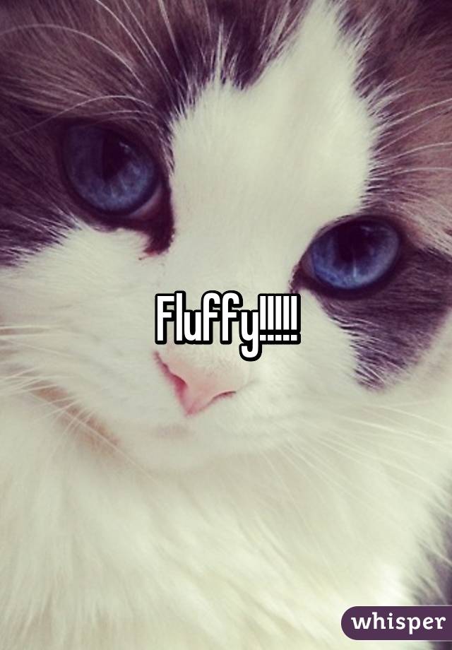 Fluffy!!!!!