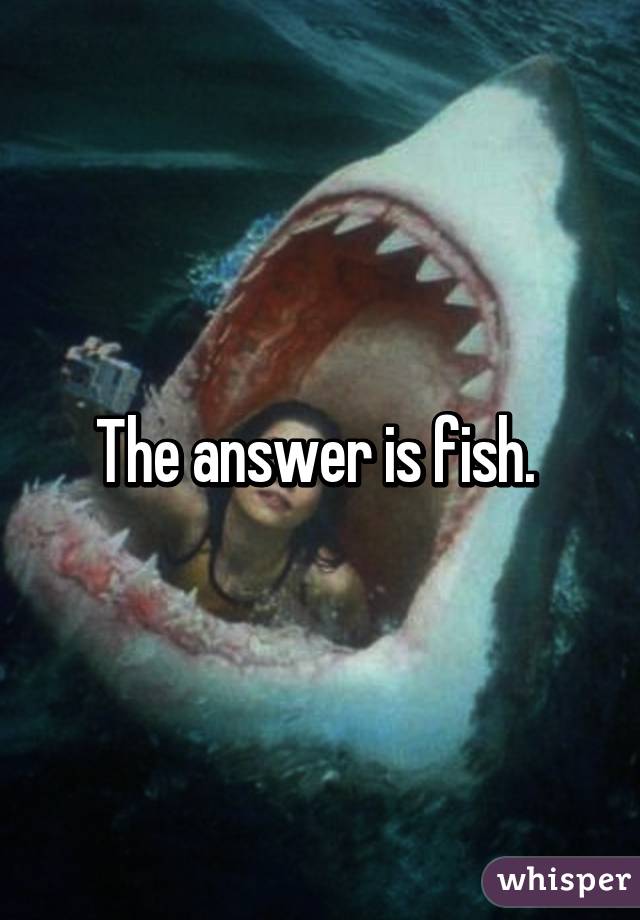 The answer is fish. 