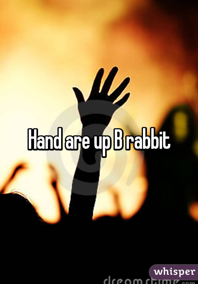 Hand are up B rabbit