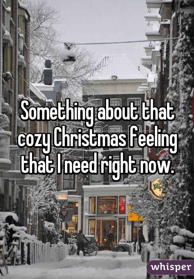 Something about that cozy Christmas feeling that I need right now.