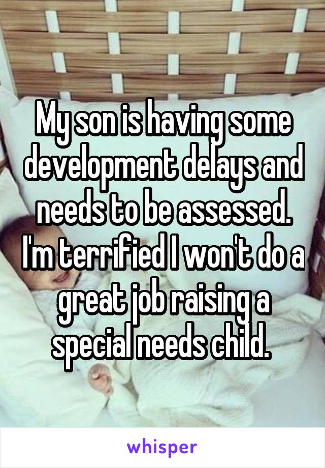 My son is having some development delays and needs to be assessed. I'm terrified I won't do a great job raising a special needs child. 