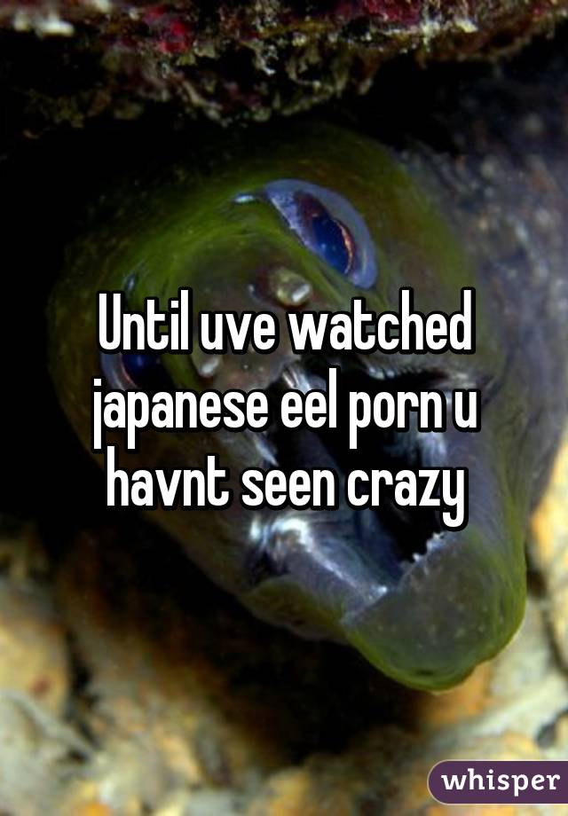 Until uve watched japanese eel porn u havnt seen crazy