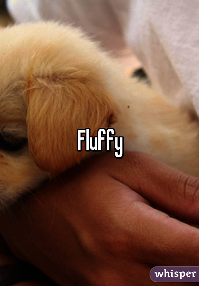 Fluffy