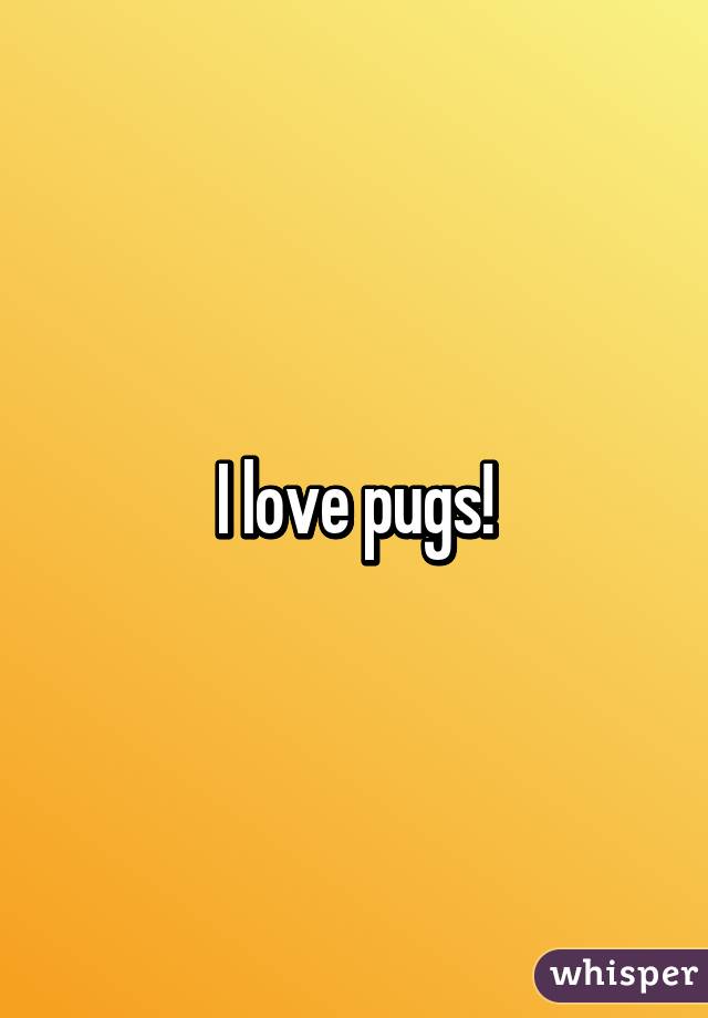 I love pugs!