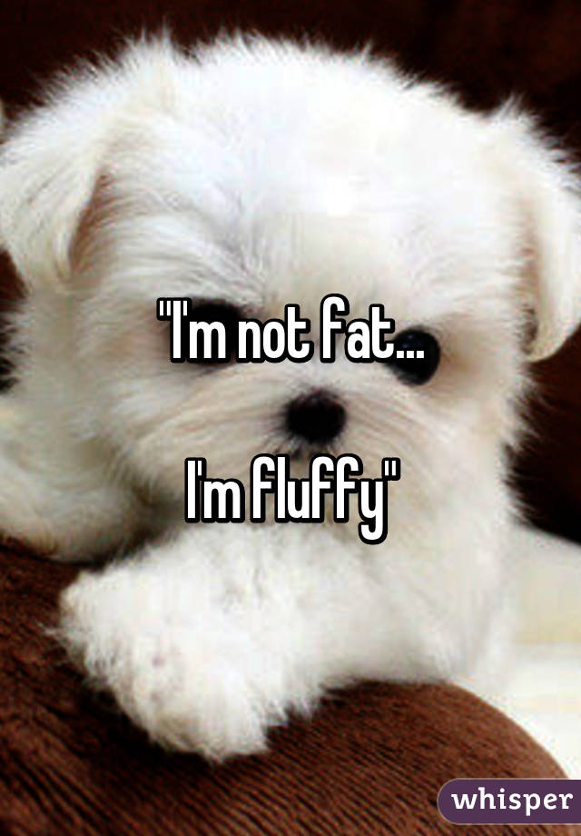 "I'm not fat...

I'm fluffy"