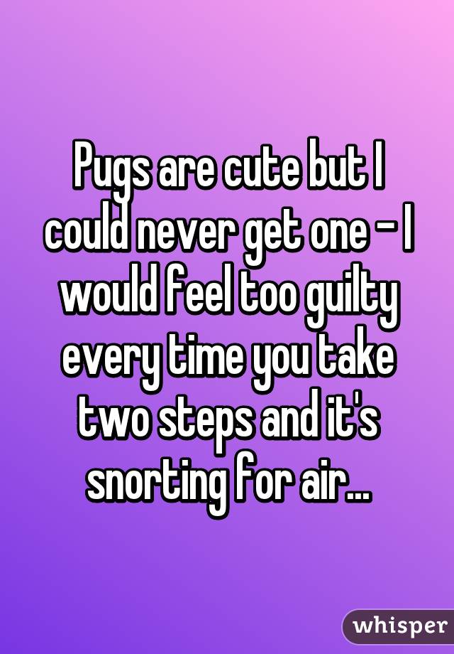 Pugs are cute but I could never get one - I would feel too guilty every time you take two steps and it's snorting for air...