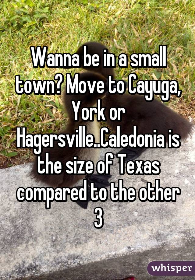 Wanna be in a small town? Move to Cayuga, York or Hagersville..Caledonia is the size of Texas compared to the other 3