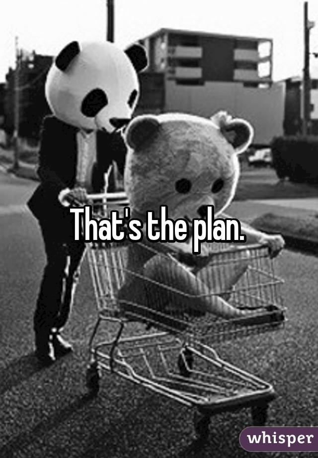 That's the plan. 