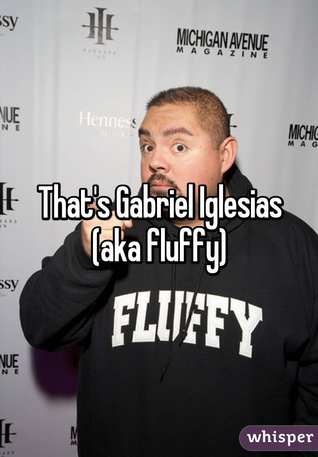 That's Gabriel Iglesias (aka fluffy)