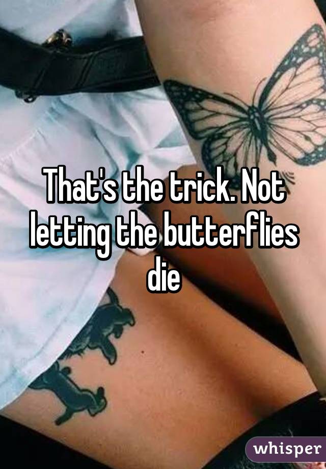 That's the trick. Not letting the butterflies die