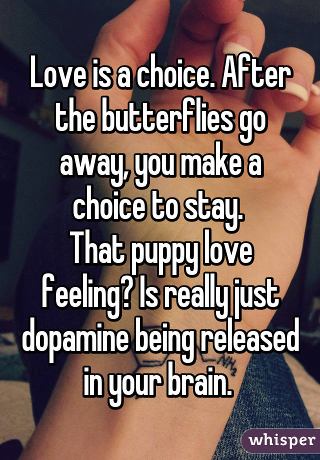 Love is a choice. After the butterflies go away, you make a choice to stay. 
That puppy love feeling? Is really just dopamine being released in your brain. 