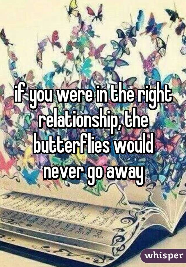 if you were in the right relationship, the butterflies would never go away