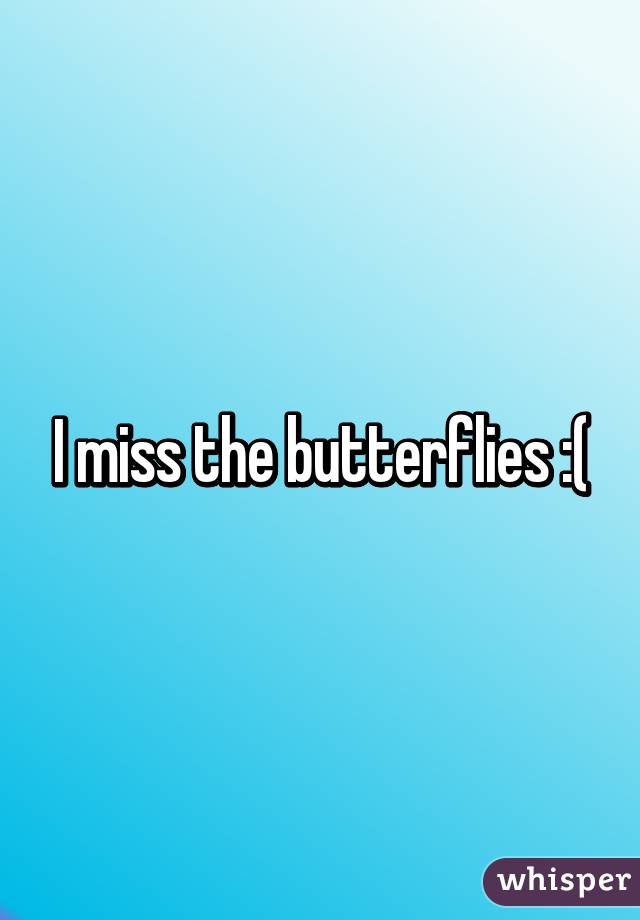 I miss the butterflies :(