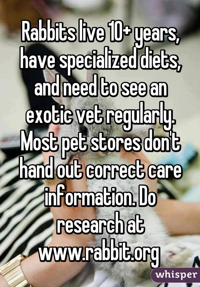 Rabbits live 10+ years, have specialized diets, and need to see an exotic vet regularly. Most pet stores don't hand out correct care information. Do research at www.rabbit.org 