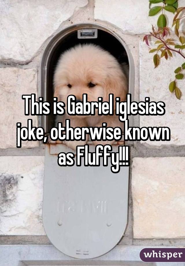 This is Gabriel iglesias joke, otherwise known as Fluffy!!!