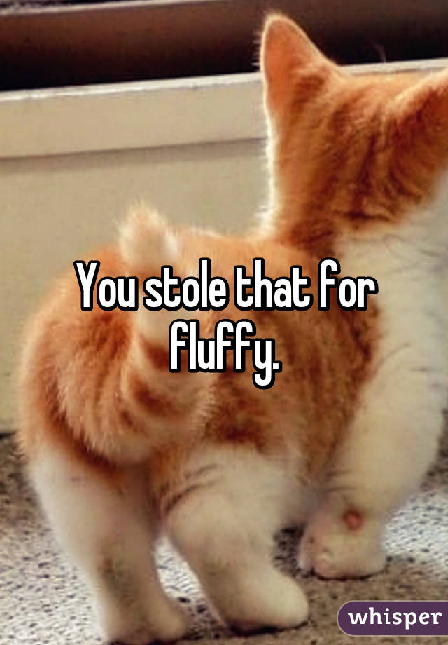 You stole that for fluffy.