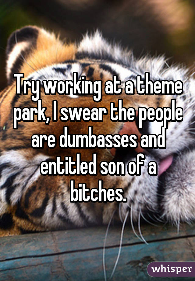 Try working at a theme park, I swear the people are dumbasses and entitled son of a bitches.