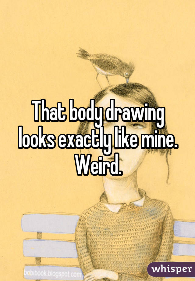 That body drawing looks exactly like mine. Weird.