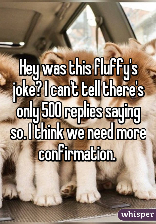 Hey was this fluffy's joke? I can't tell there's only 500 replies saying so. I think we need more confirmation. 