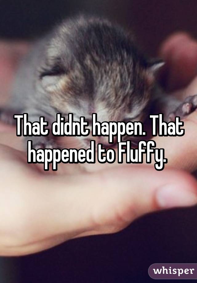 That didnt happen. That happened to Fluffy. 