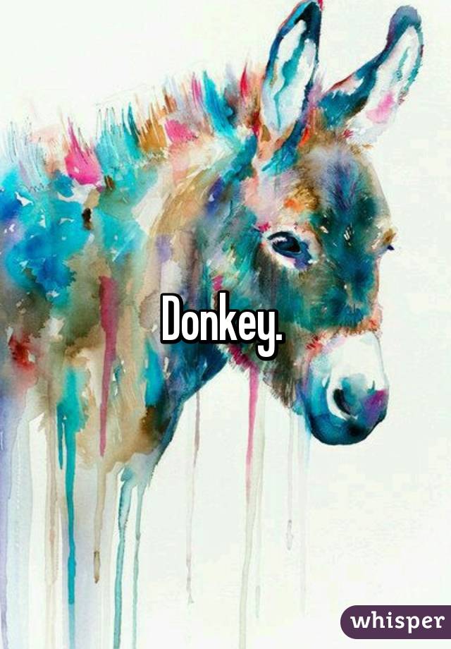 Donkey. 