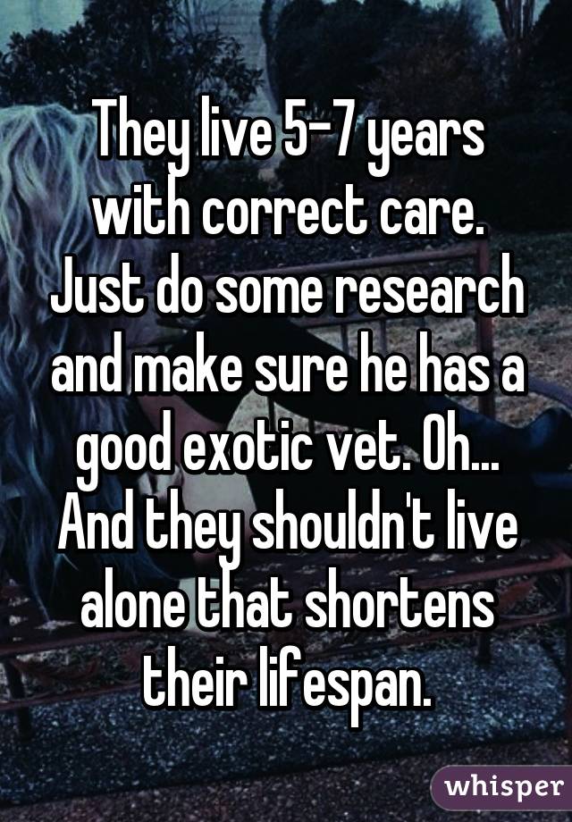 They live 5-7 years with correct care. Just do some research and make sure he has a good exotic vet. Oh... And they shouldn't live alone that shortens their lifespan.