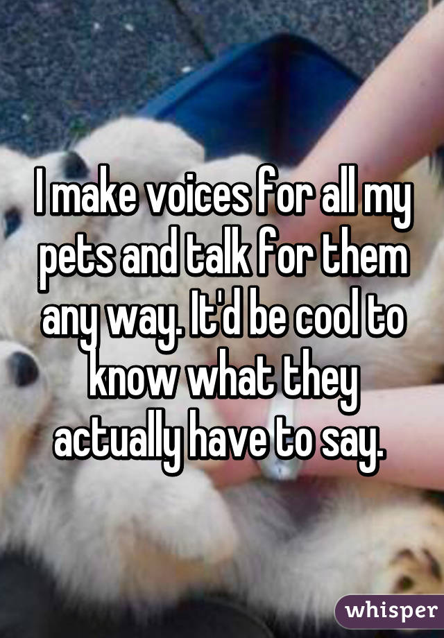 I make voices for all my pets and talk for them any way. It'd be cool to know what they actually have to say. 