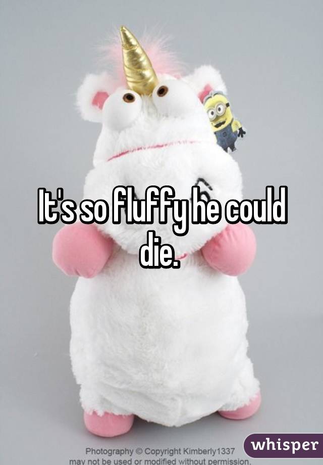 It's so fluffy he could die. 