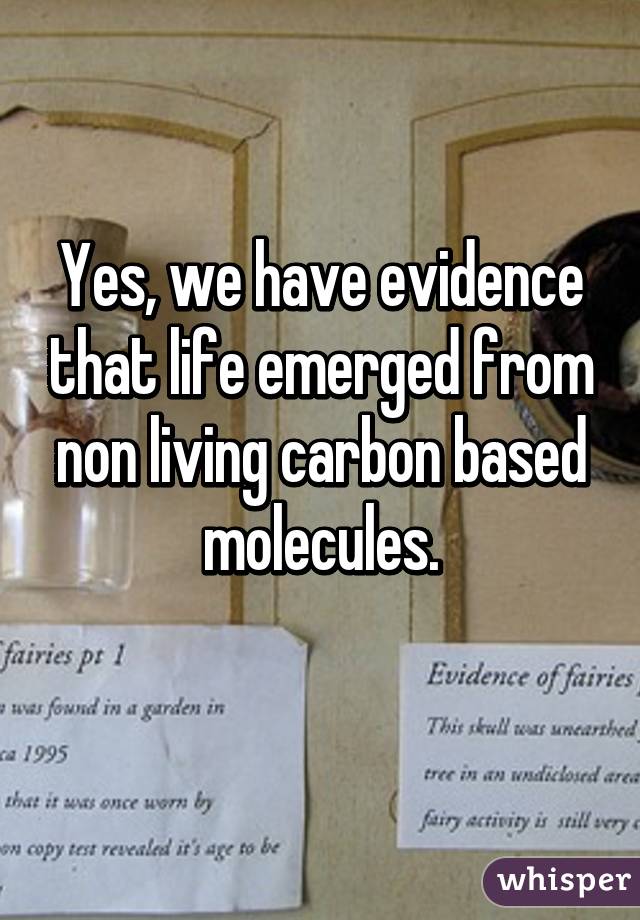 Yes, we have evidence that life emerged from non living carbon based molecules.
