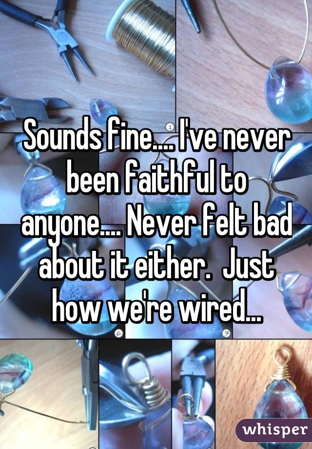 Sounds fine.... I've never been faithful to anyone.... Never felt bad about it either.  Just how we're wired...