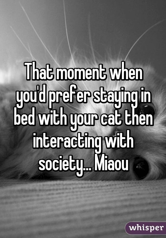 That moment when you'd prefer staying in bed with your cat then interacting with society... Miaou