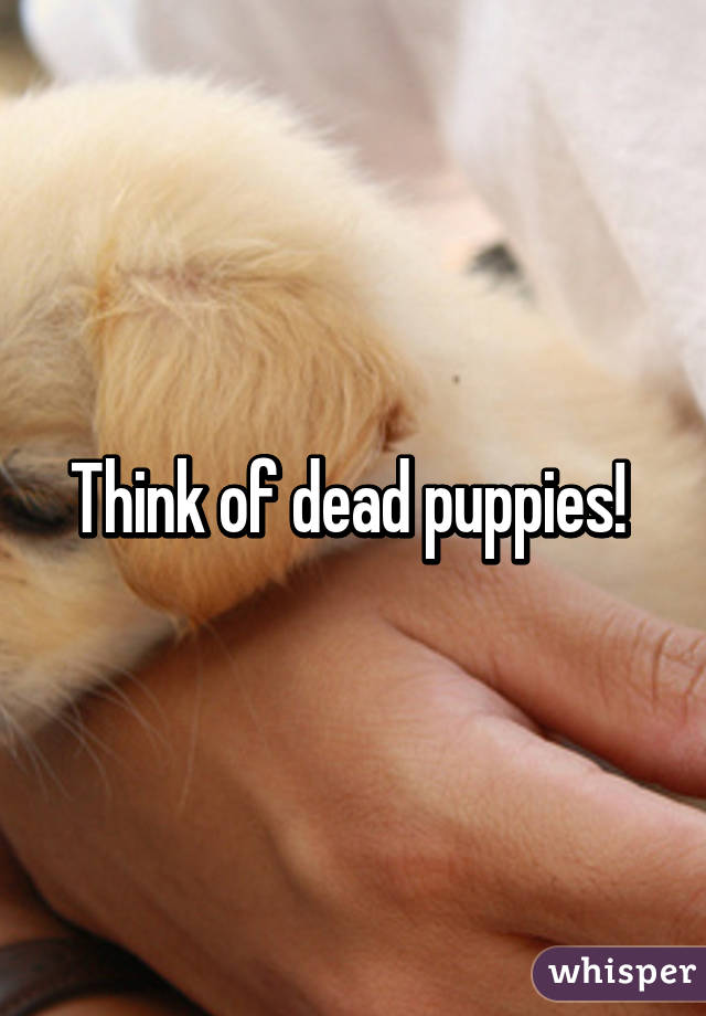 Think of dead puppies! 