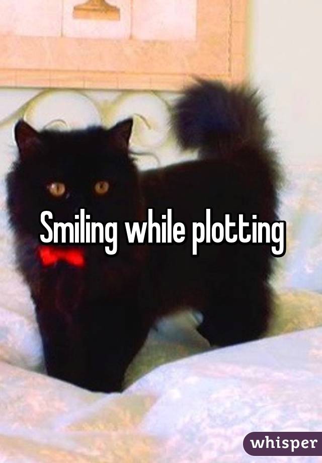 Smiling while plotting