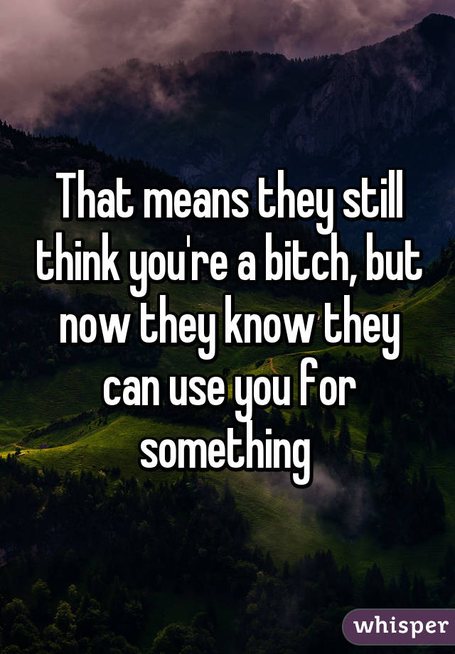 That means they still think you're a bitch, but now they know they can use you for something 