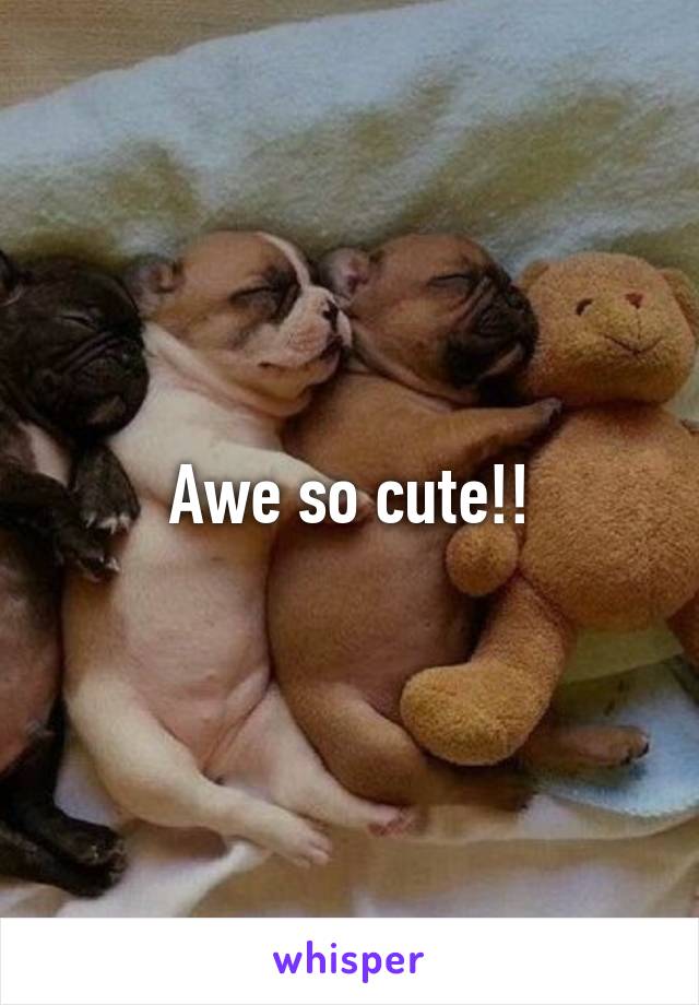 Awe so cute!!