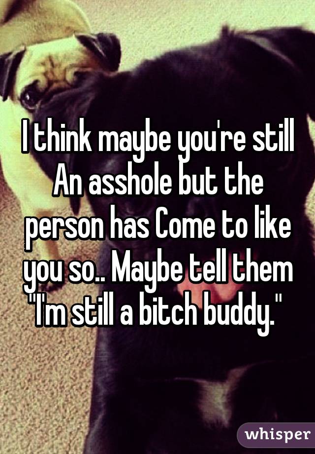 I think maybe you're still An asshole but the person has Come to like you so.. Maybe tell them "I'm still a bitch buddy." 