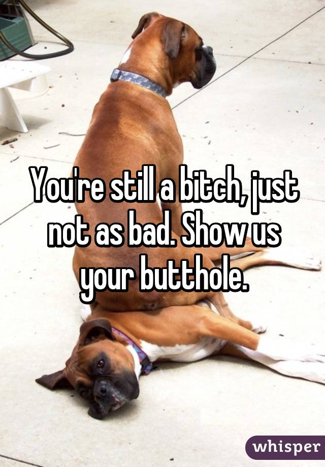 You're still a bitch, just not as bad. Show us your butthole.