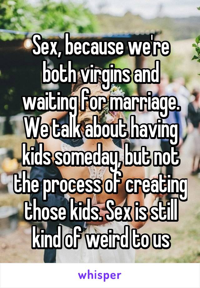Sex, because we're both virgins and waiting for marriage. We talk about having kids someday, but not the process of creating those kids. Sex is still kind of weird to us