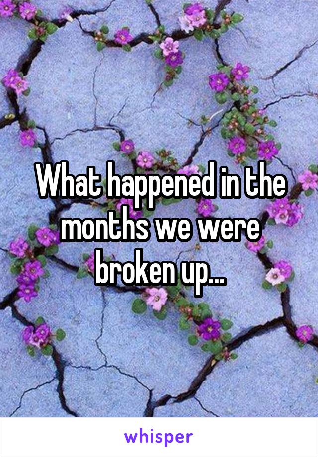 What happened in the months we were broken up...