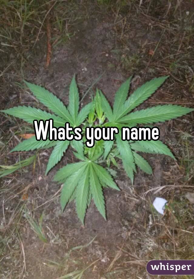 Whats your name