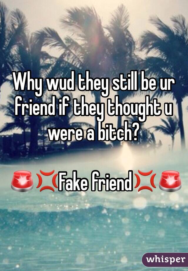 Why wud they still be ur friend if they thought u were a bitch?

 🚨💢Fake friend💢🚨